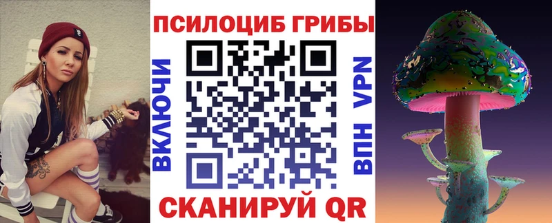 Псилоцибиновые грибы мицелий  Находка 