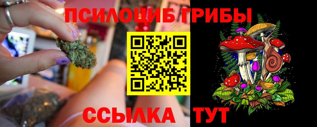Находка  Галлюциногенные грибы мицелий  Вход с VPN 